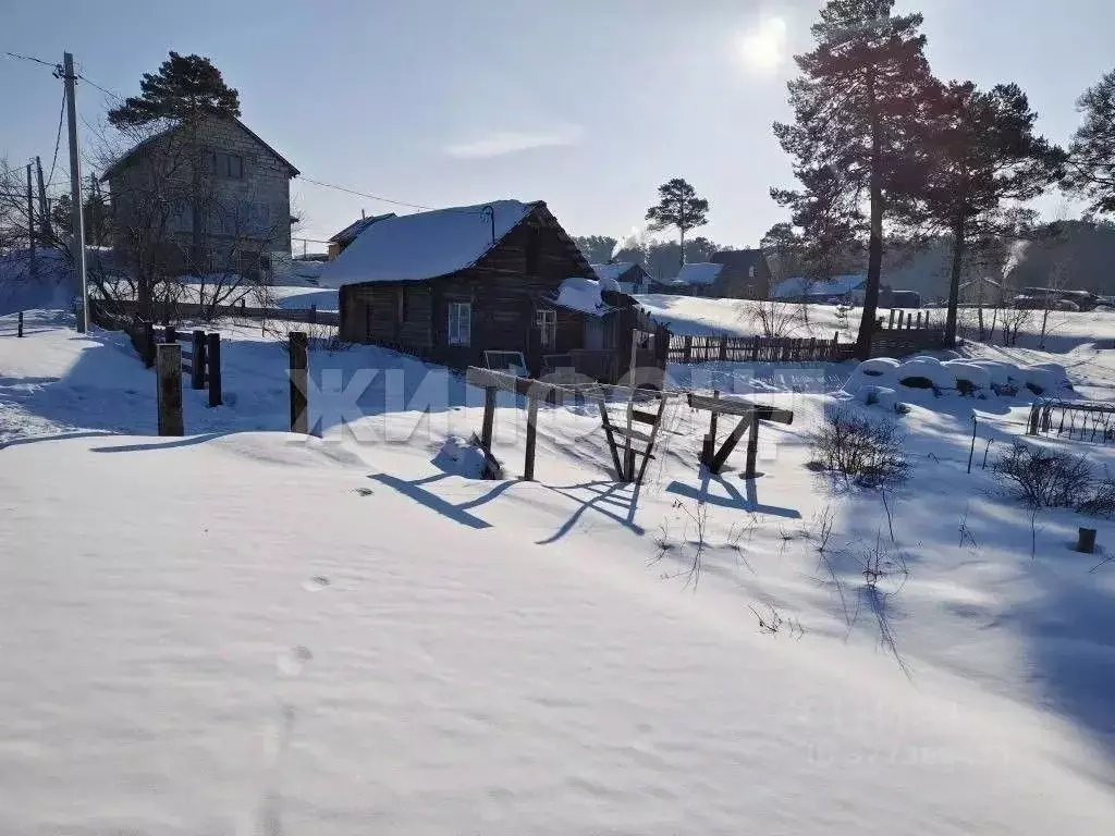 Участок в Новосибирская область, Новосибирский район, Кубовинский ... - Фото 2