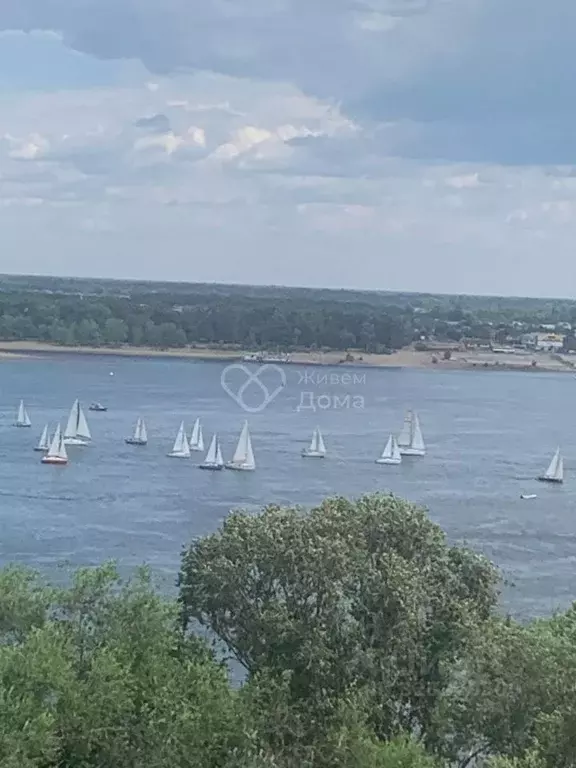 1-к кв. Волгоградская область, Волгоград ул. Маршала Чуйкова, 43 (37.0 ... - Фото 2