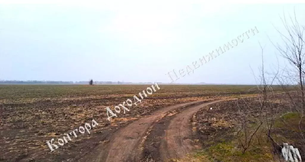 Участок в Батайск, Промышленная улица (40 м) - Фото 2