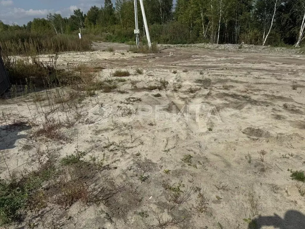 Участок в Тюменская область, Тюменский район, Боровский пгт ул. ... - Фото 2