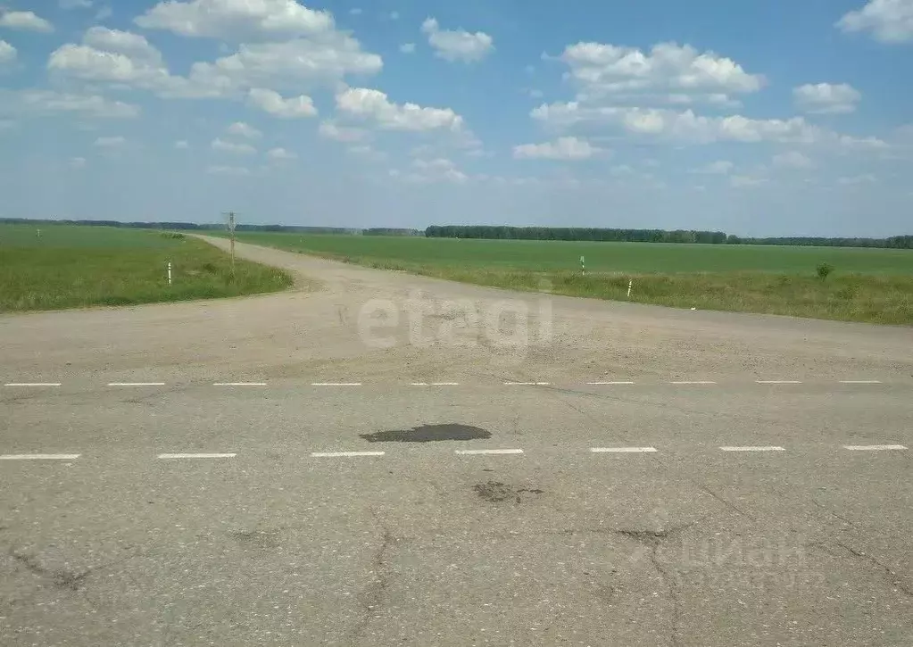 Дом в Омская область, Кормиловский район, д. Михеевка Михеевская ул., ... - Фото 2