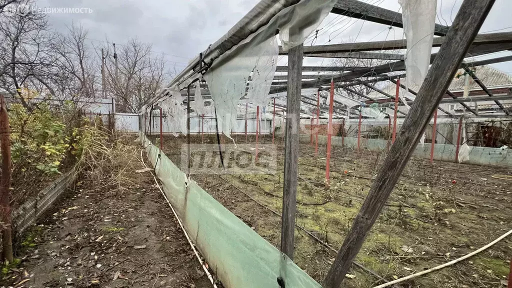 Участок в Заветный, Армавирская улица, 2 (4.27 м) - Фото 2