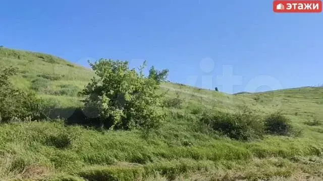 Участок 10,57 га (СНТ, ДНП) - Фото 1
