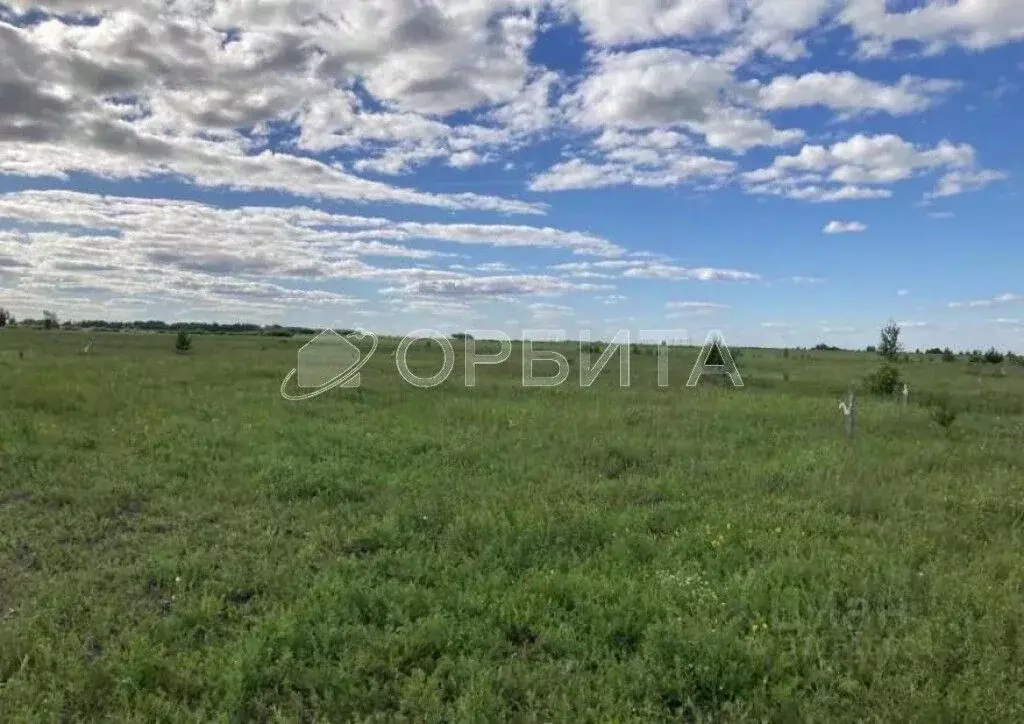 Участок в Тюменская область, Тюменский район, с. Ембаево  (10.0 сот.) - Фото 1