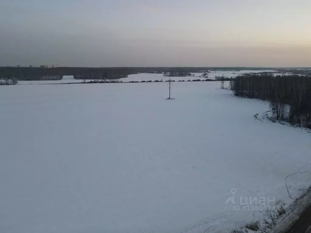 Участок в Челябинская область, Сосновский район, пос. Рощино  (250.0 ... - Фото 1