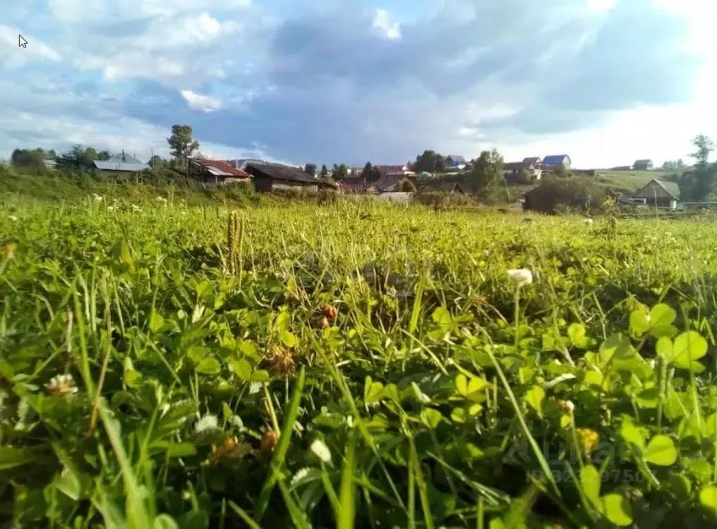Участок в Алтай, с. Чоя ул. Восточная, 3 (20.0 сот.) - Фото 1
