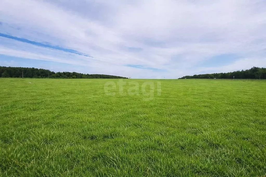 Участок в Сахалинская область, Анивский городской округ, с. Мицулевка ... - Фото 1