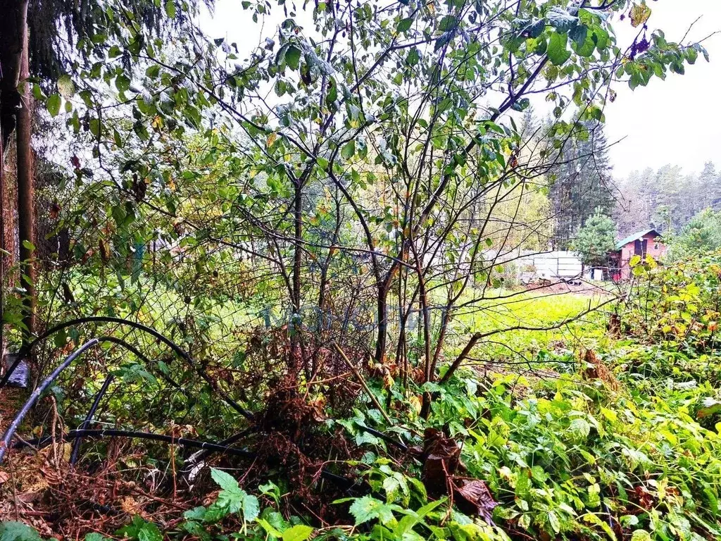 Участок в Москва Заря ОНТ,  (4.95 сот.) - Фото 2