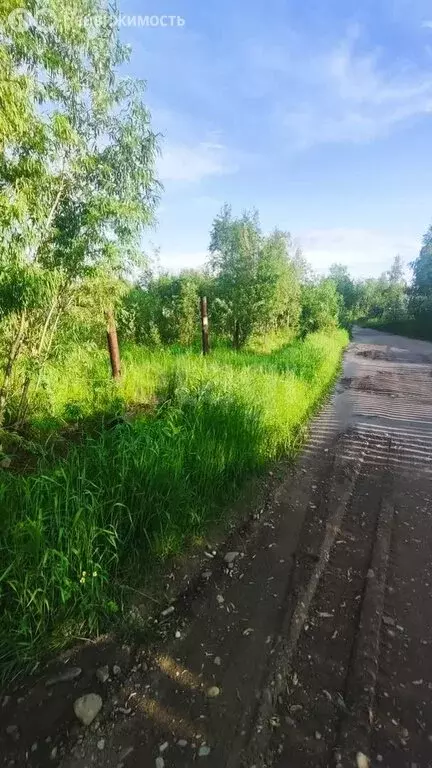 Участок в Усинск, садово-огородное товарищество Коммунальник (8 м) - Фото 0