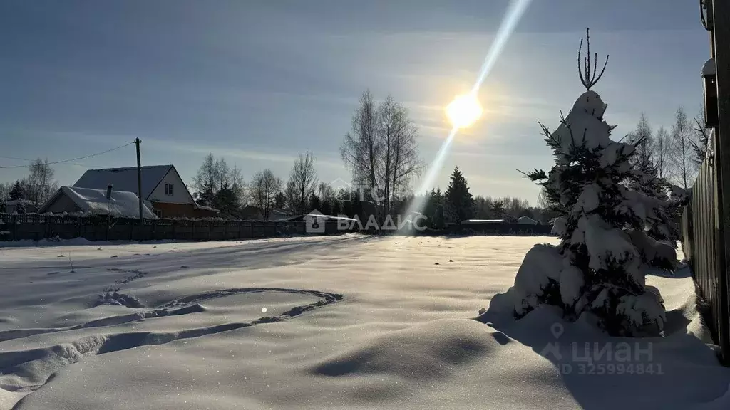 Участок в Московская область, Богородский городской округ, д. Кабаново ... - Фото 2