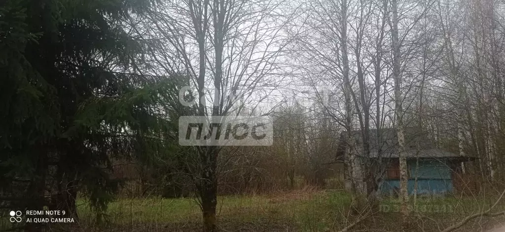 Участок в Вологодская область, Костино-1 садоводческое товарищество  ... - Фото 0