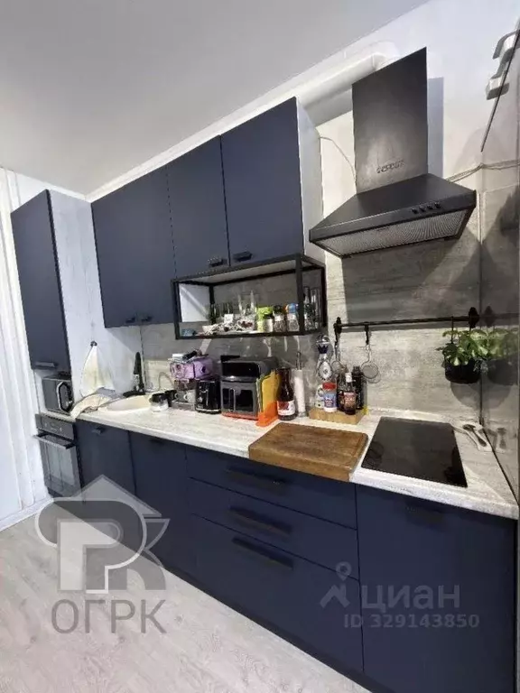 3-к кв. Московская область, Балашиха Саввино мкр, ул. Народного ... - Фото 2