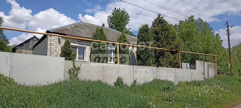 Дом в Воронежская область, с. Нижнедевицк ул. Западная, 14 (60 м) - Фото 2