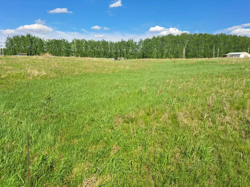 Участок в Омская область, Омский район, с. Усть-Заостровка, Удачный кп ... - Фото 2