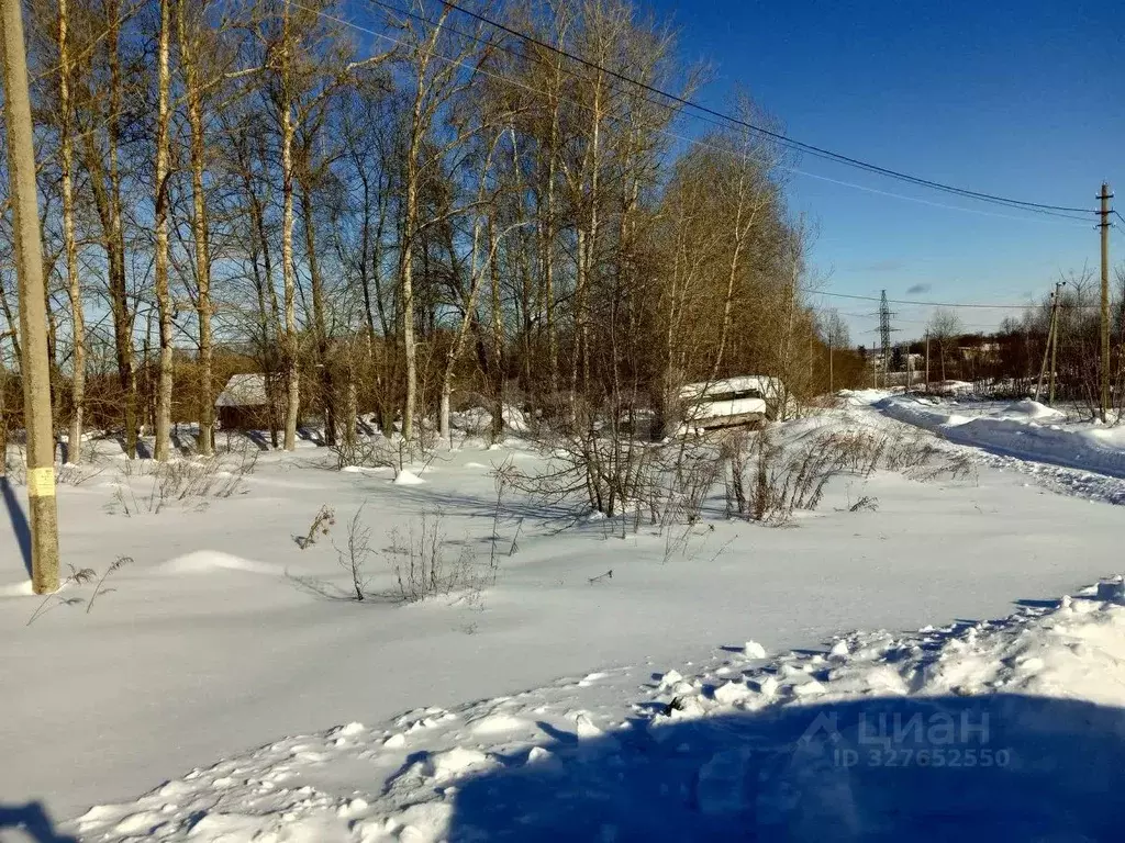 Участок в Тульская область, Дубенский район, Воскресенское с/пос, с. ... - Фото 1