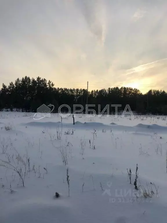 Участок в Тюменская область, Тюменский район, с. Щербак  (176.0 сот.) - Фото 0