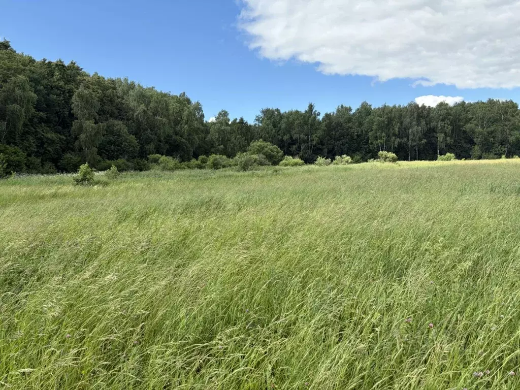 Участок в Московская область, Кашира городской округ, д. Никулино  ... - Фото 1