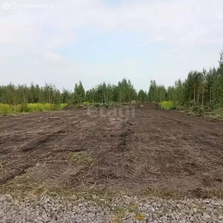 Участок в Липецк, Георгиевская улица (11 м) - Фото 2