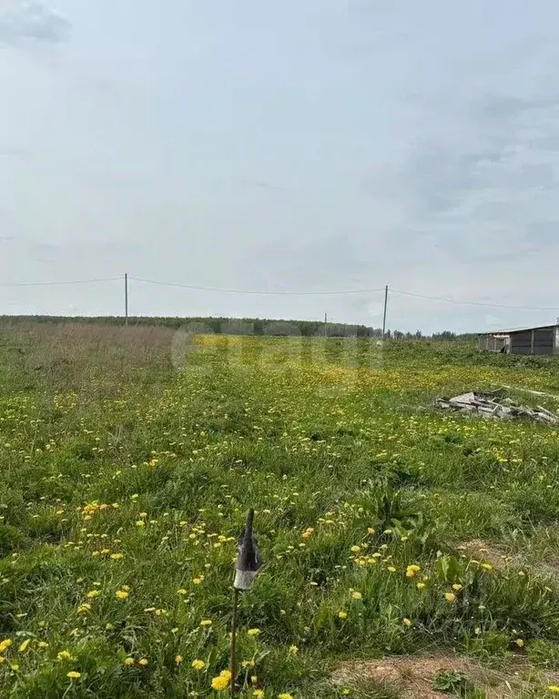 Участок в Калужская область, Малоярославецкий муниципальный округ, с. ... - Фото 1