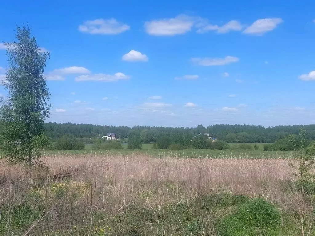 Участок в Тверская область, Калининский муниципальный округ, д. ... - Фото 1