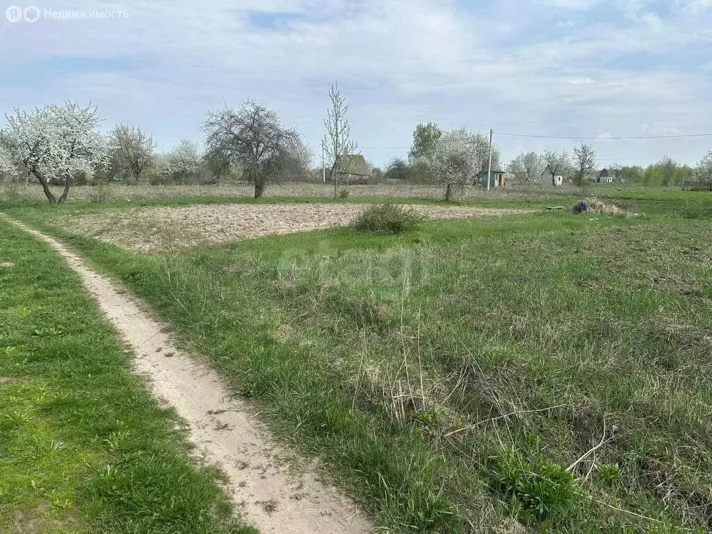 Участок в Толмачево, СДТ Ветеран-2 (6 м) - Фото 2