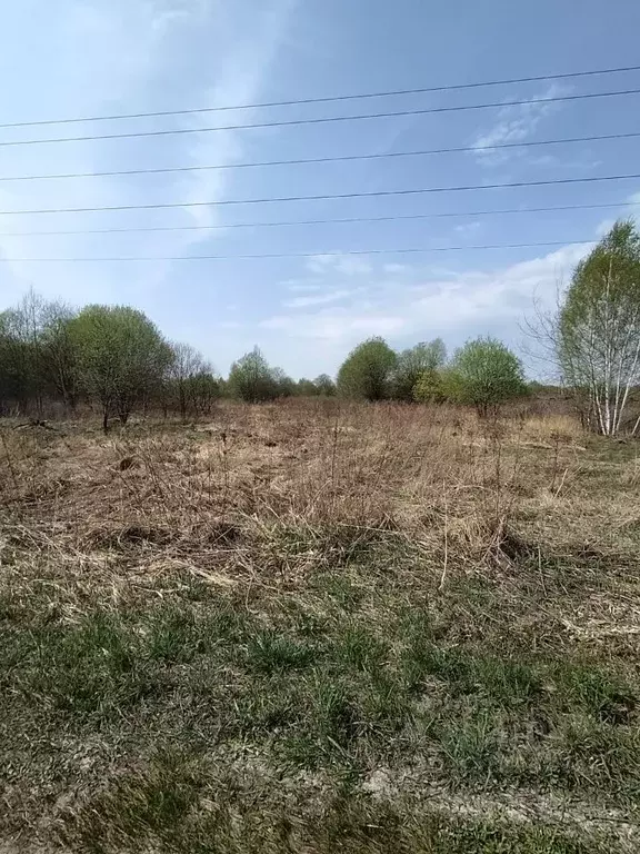 Участок в Московская область, Егорьевск муниципальный округ, д. Юрцово ... - Фото 0
