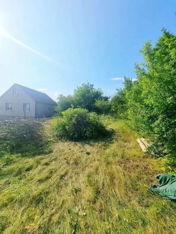 Участок в Белгородская область, Белгородский муниципальный округ, с. ... - Фото 1