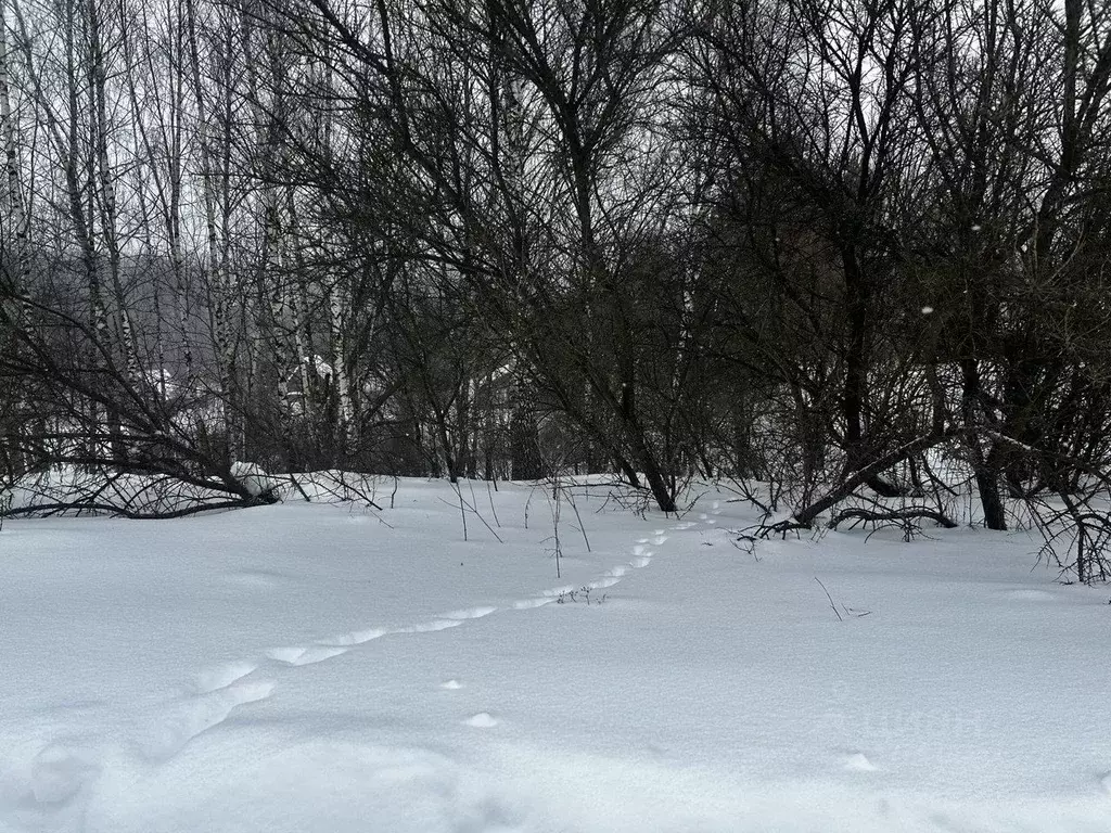Участок в Московская область, Ступино городской округ, д. Бекетово ул. ... - Фото 2