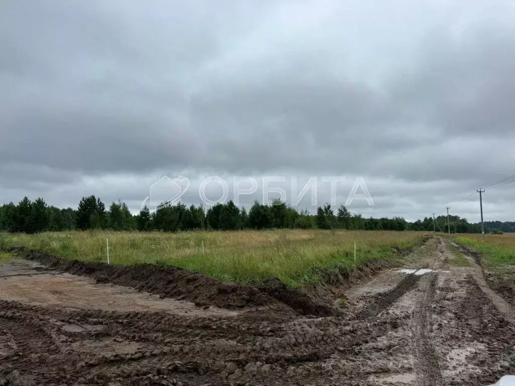 Участок в Тюменская область, Тюменский муниципальный округ, с. Успенка ... - Фото 1