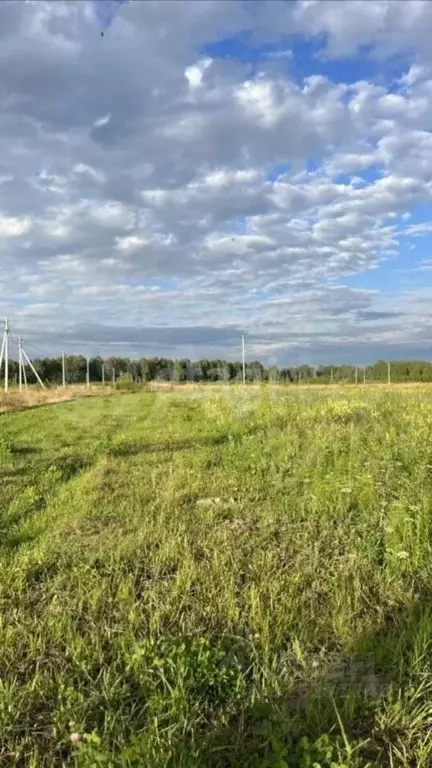 Участок в Марий Эл, Медведевский район, Азяковское с/пос, д. Шеклянур ... - Фото 1