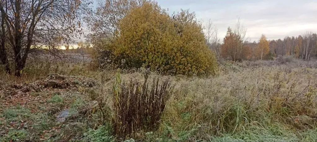 Участок в Московская область, Павлово-Посадский городской округ, д. ... - Фото 1