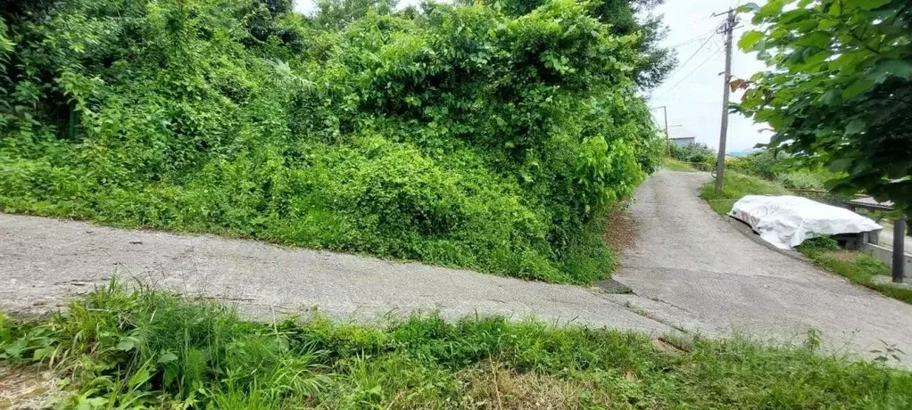 Участок в Краснодарский край, Сочи Бытха мкр, ул. Краевско-Греческая, ... - Фото 1