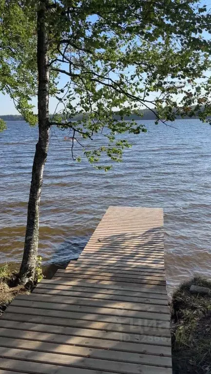 Коттедж в Ленинградская область, Выборгский район, Рощинское городское ... - Фото 1