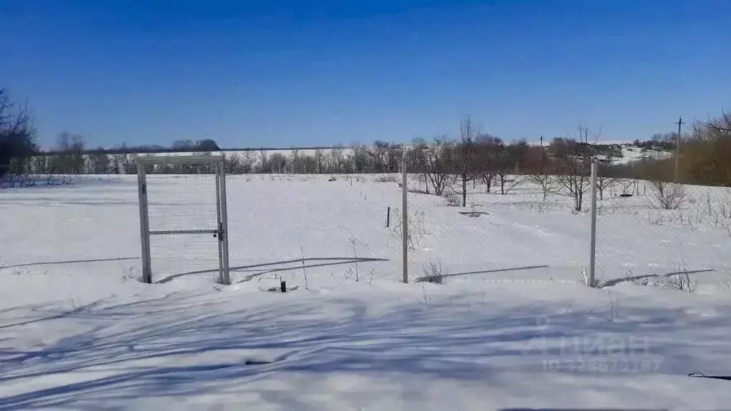Дом в Белгородская область, Губкинский городской округ, с. Ольховатка ... - Фото 2