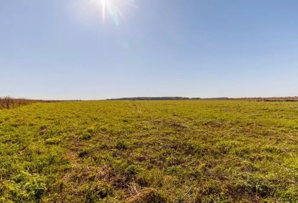 Участок в Ленинградская область, Ломоносовский район, Копорское с/пос, ... - Фото 1
