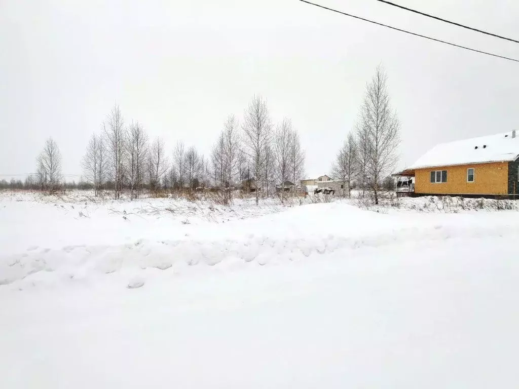 Участок в Марий Эл, Йошкар-Ола городской округ, д. Шоя-Кузнецово ул. ... - Фото 1