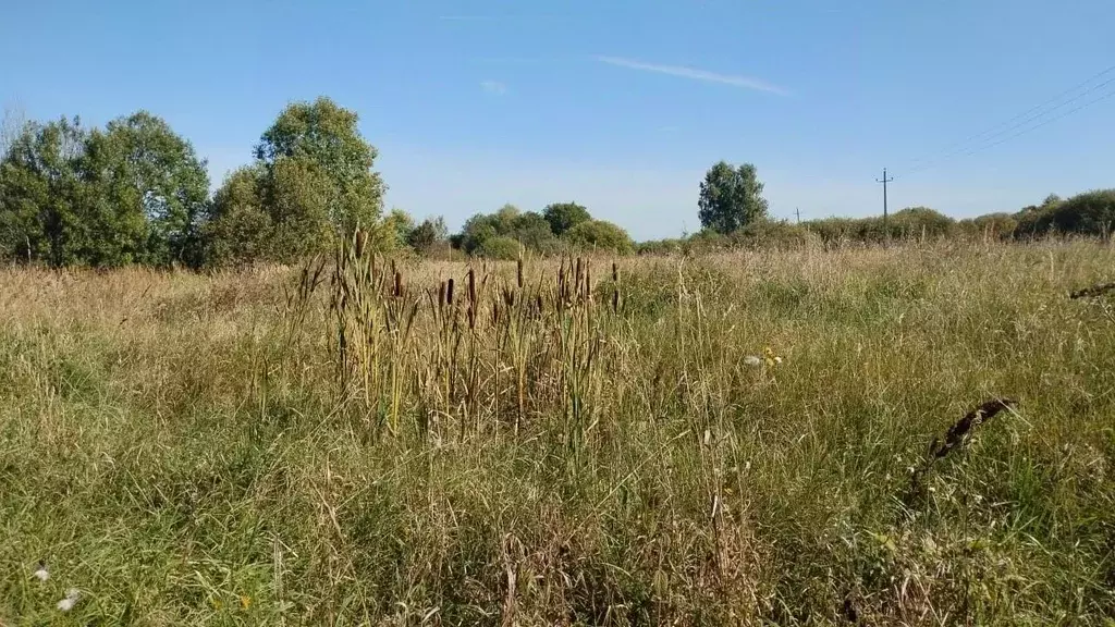 Участок в Московская область, Можайский муниципальный округ, д. Холм  ... - Фото 2