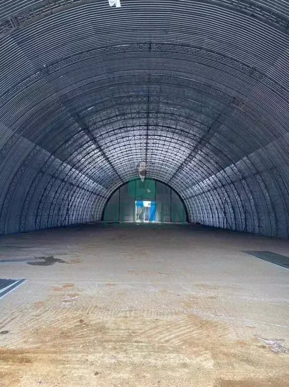 Склад в Московская область, Домодедово городской округ, д. Купчинино ... - Фото 2