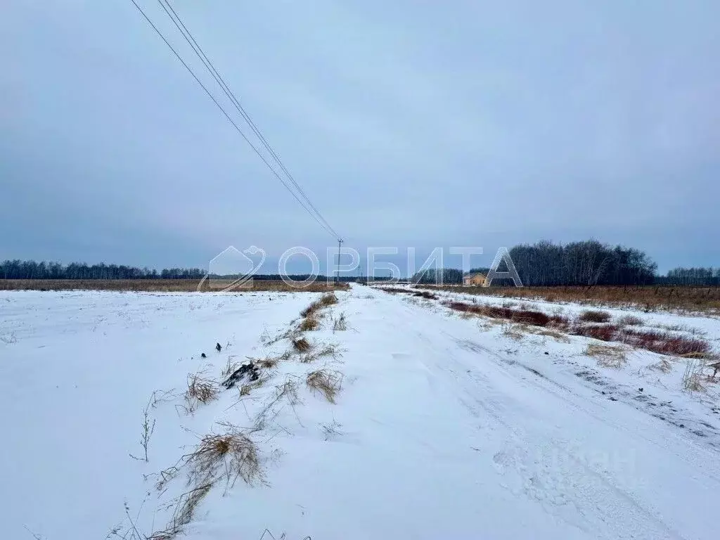Участок в Тюменская область, Нижнетавдинский район, Сочинские СНТ 7-я ... - Фото 0