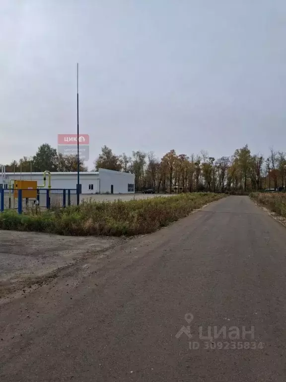 Участок в Рязанская область, Рыбное ул. Перспективная, 6 (150.0 сот.) - Фото 1