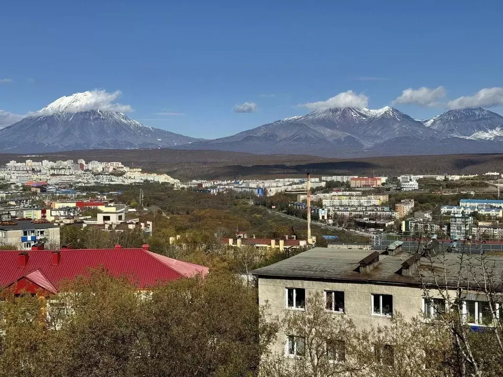 2-к кв. Камчатский край, Петропавловск-Камчатский ул. Автомобилистов, ... - Фото 0