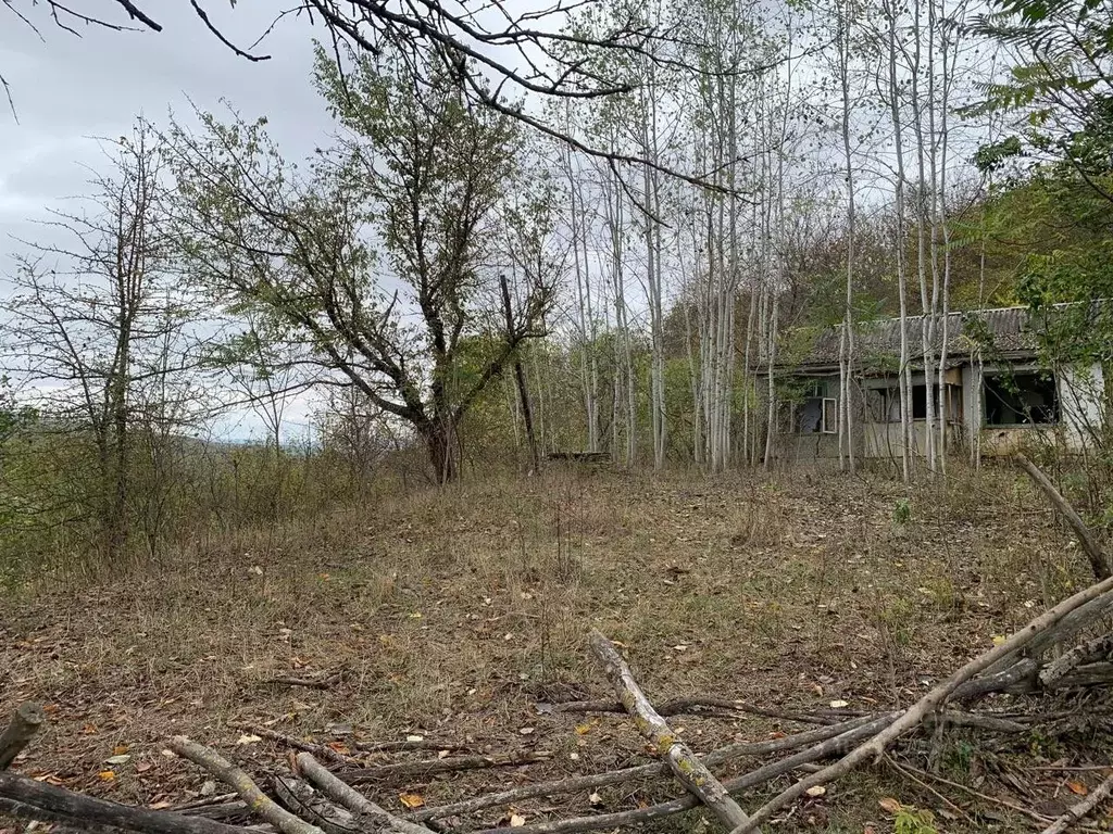 Участок в Чеченская республика, Курчалоевский район, Ялхой-Мохкское ... - Фото 1