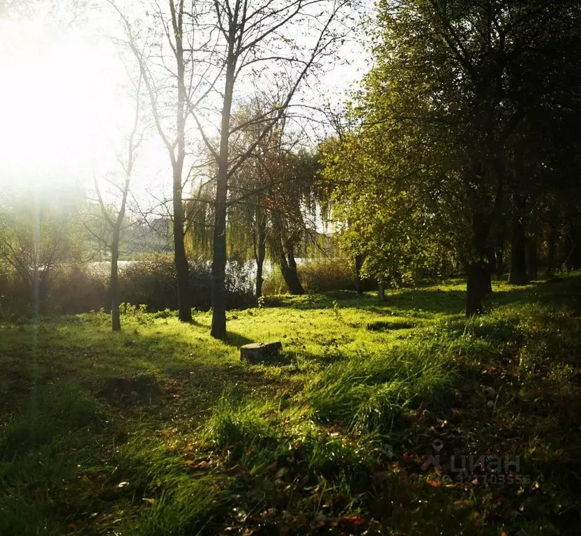 Участок в Краснодарский край, Усть-Лабинский район, Железное с/пос, ... - Фото 1
