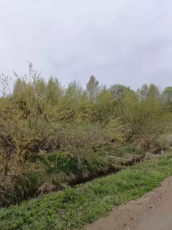 Участок в Московская область, Талдомский городской округ, д. ... - Фото 1