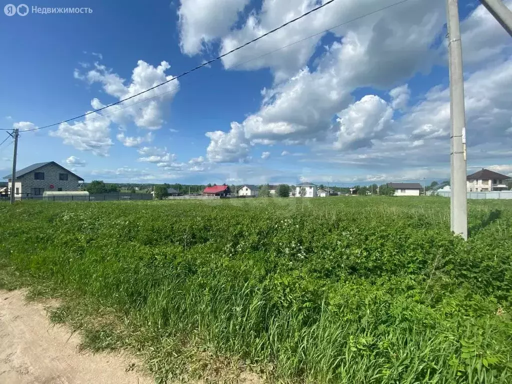 Участок в деревня Марфино, деревня Шаньково, Рябиновая улица (10 м) - Фото 0