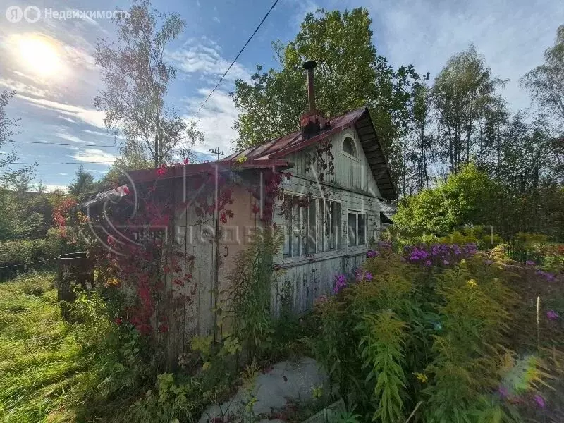 Участок в Ленинградская область, Выборг (4.56 м) - Фото 1