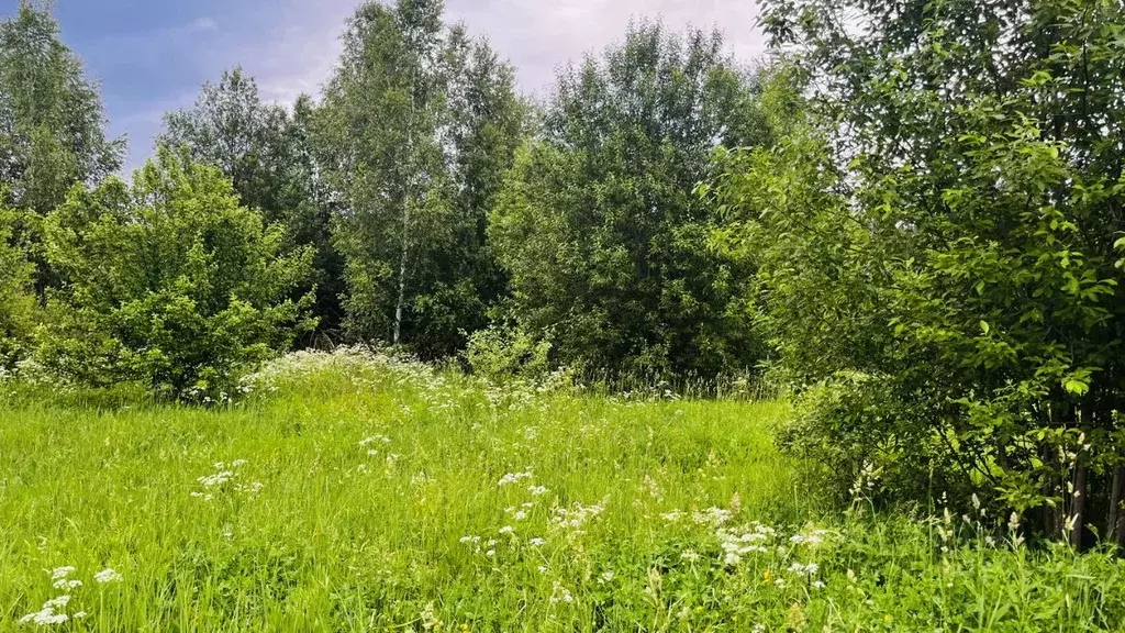 Участок в Московская область, Дмитровский муниципальный округ, д. ... - Фото 0