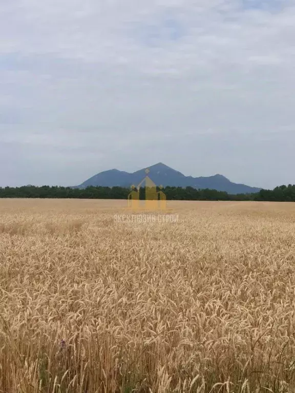 Участок в Ставропольский край, Предгорный муниципальный округ, пос. ... - Фото 0