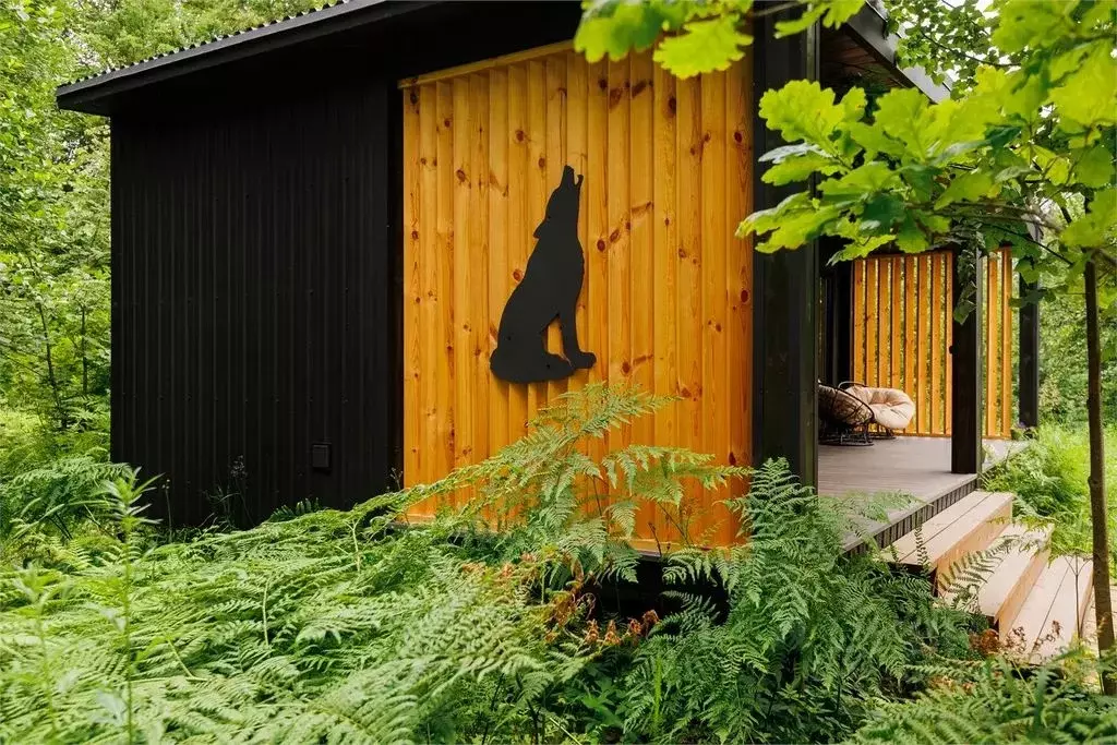 Дом в Нижегородская область, Бор  (34 м) - Фото 1