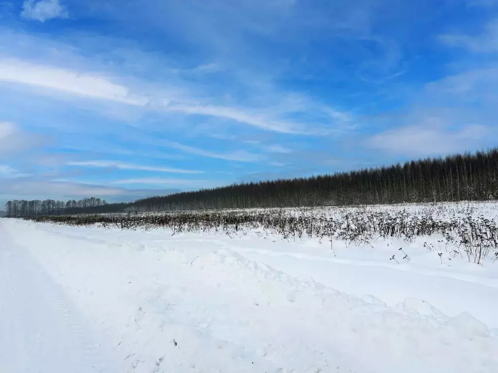Участок в Московская область, Раменский муниципальный округ, Оттепель ... - Фото 2